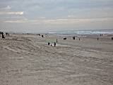 Samstag Nachmittag im November am Strand von Noordwijk